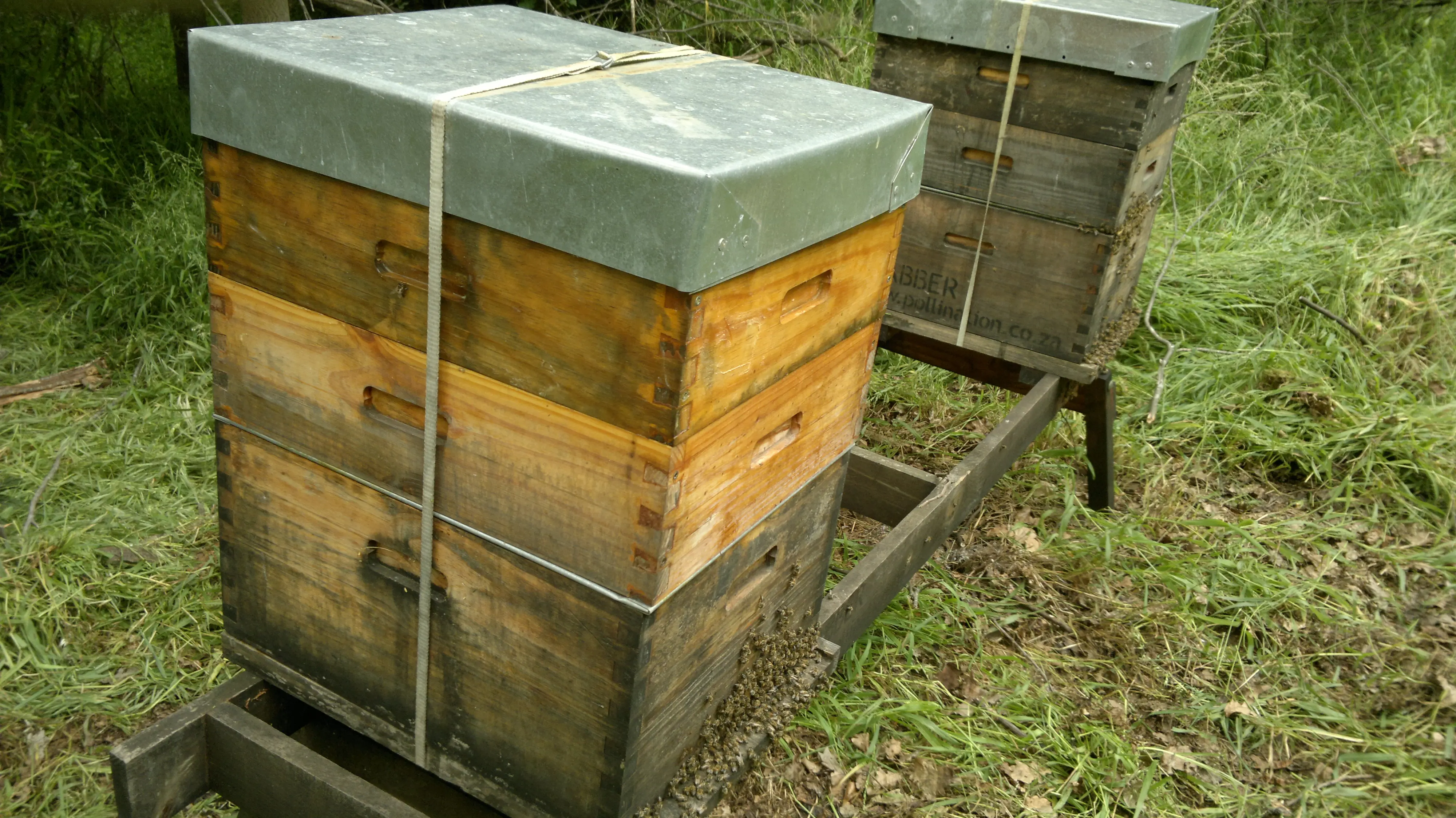 Hive inspection