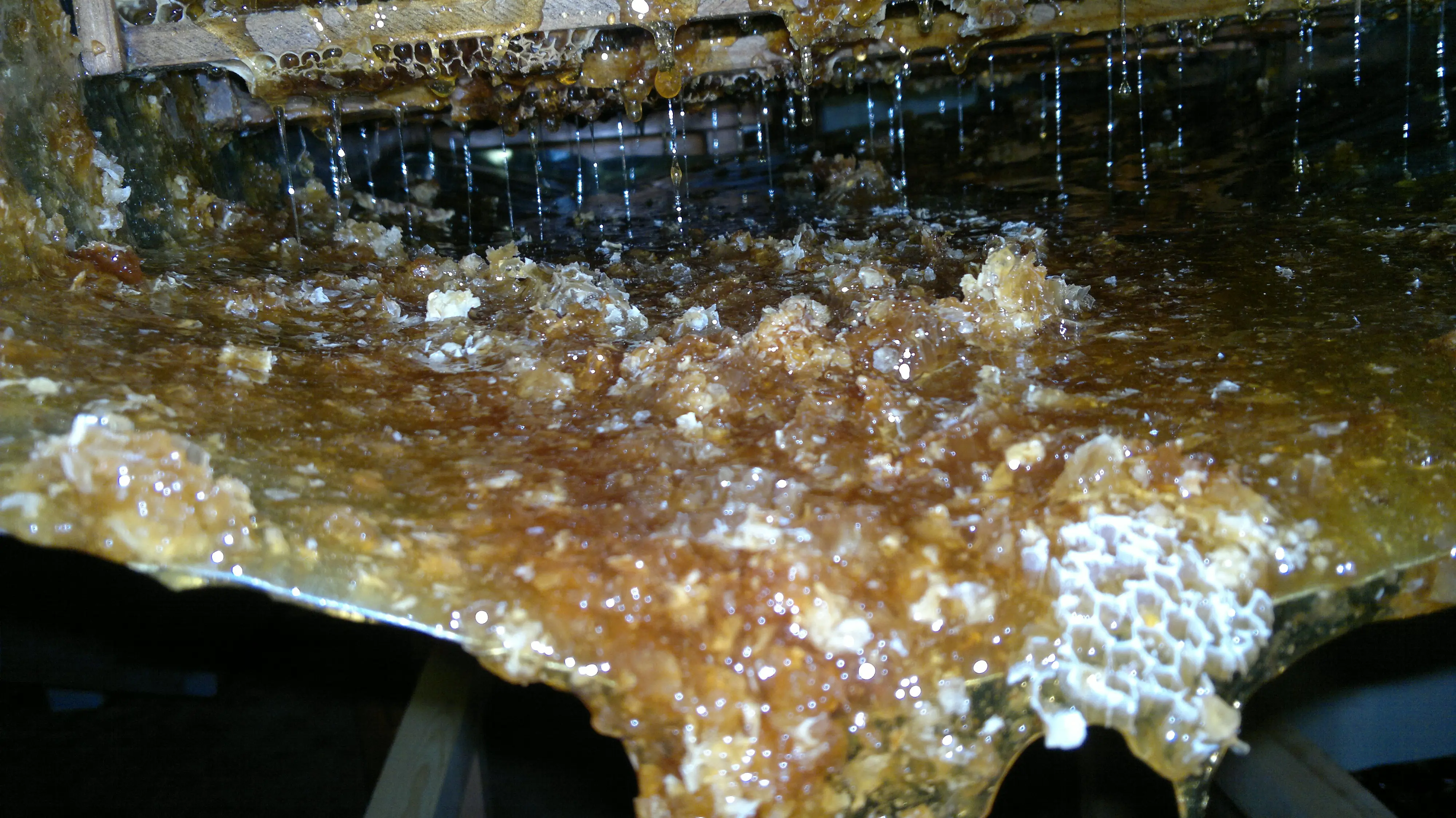 Honey dipper